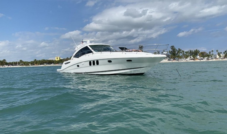 50 Sea Ray 