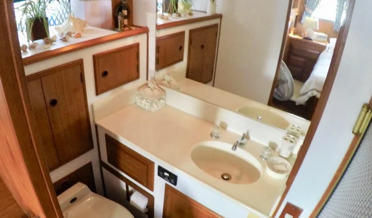 44 DeFever Master Head, Separate Shower