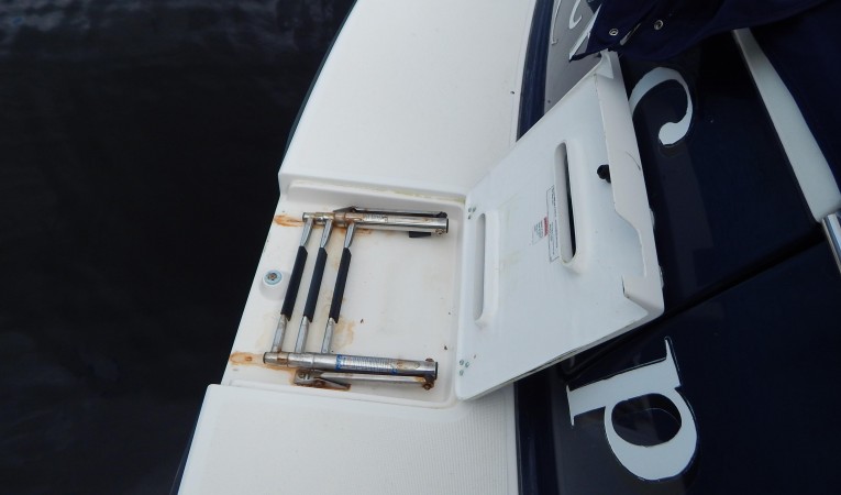 29 Tiara Swim Ladder