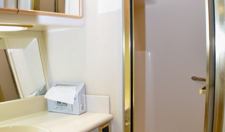 55 Sea Ray Owner's Head