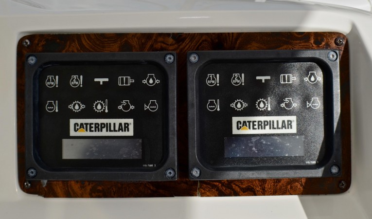 55 Sea Ray Cat Monitors