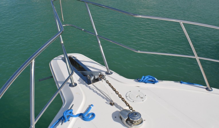 55 Sea Ray anchor