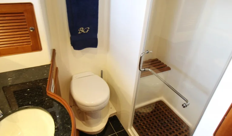 55 Selene Master head and shower