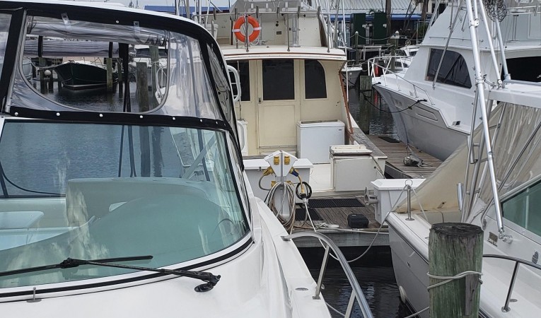 40 Cruisers Yachts Port looking aft