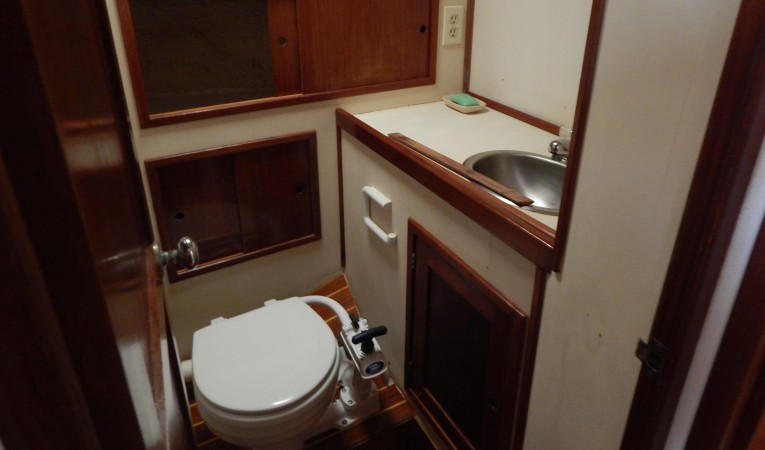 44 Wellington Forward head