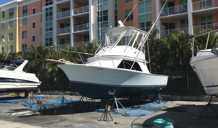 32 Blackfin Darlyn Marlyn