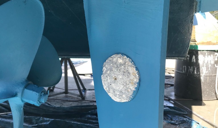 32 Blackfin Darlyn Marlyn