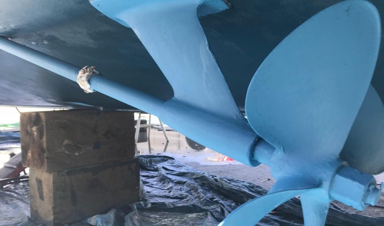 32 Blackfin Darlyn Marlyn