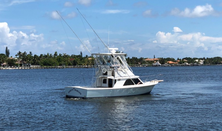 32 Blackfin Darlyn Marlyn