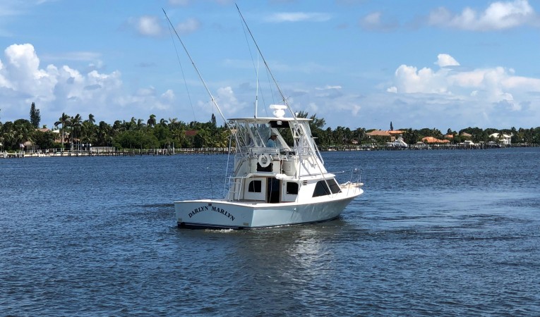 32 Blackfin Darlyn Marlyn