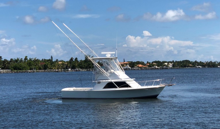 32 Blackfin Darlyn Marlyn