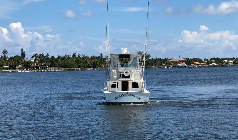 32 Blackfin Darlyn Marlyn