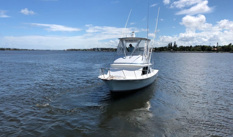 32 Blackfin Darlyn Marlyn