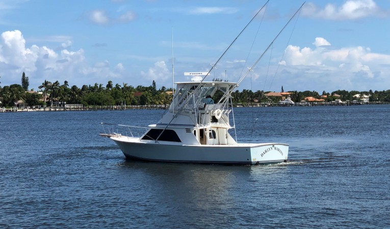 32 Blackfin Darlyn Marlyn