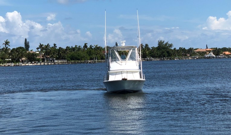 32 Blackfin Darlyn Marlyn