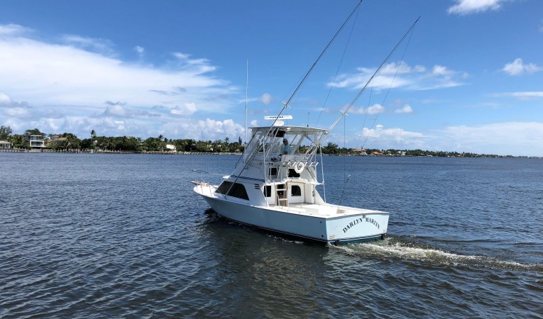 32 Blackfin Darlyn Marlyn