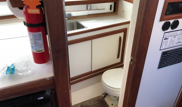 32 Blackfin Darlyn Marlyn