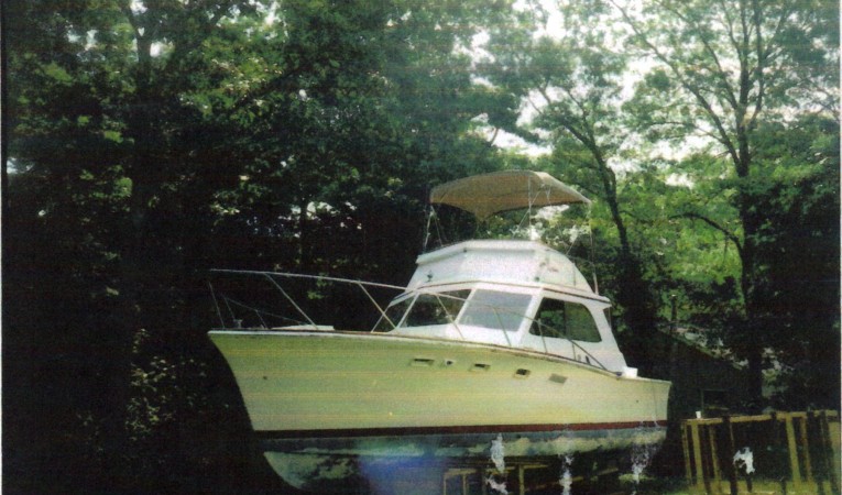 33 Egg Harbor In the Yard