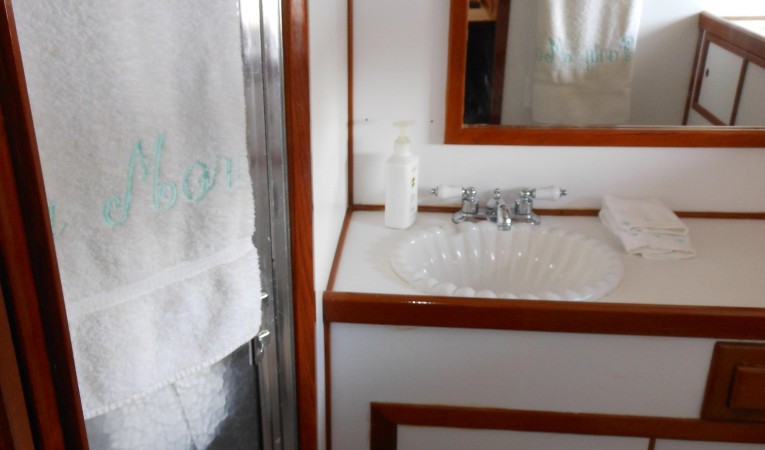 57 Wellington Owner ensuite head - separate shower