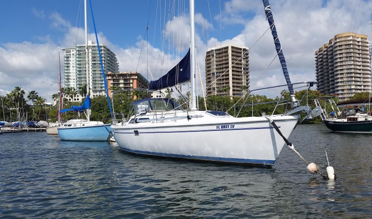 36 Catalina Bow Starboard