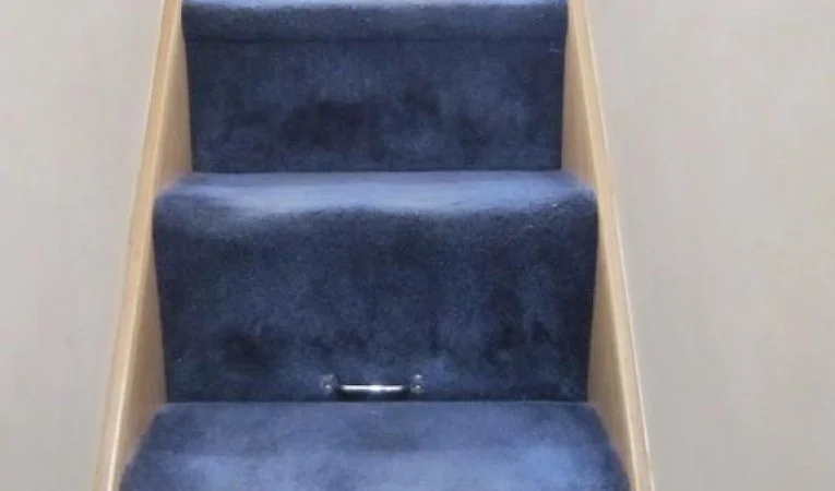 60 Bertram Steps to Galley and Main Salon