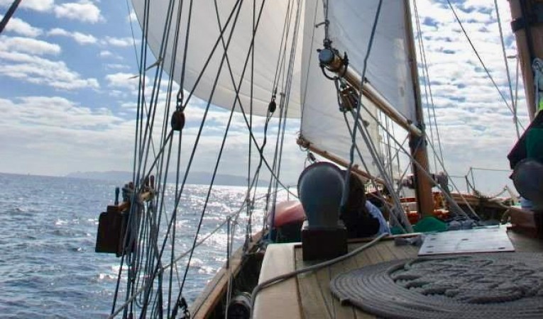 85 Pankey Starboard Tack