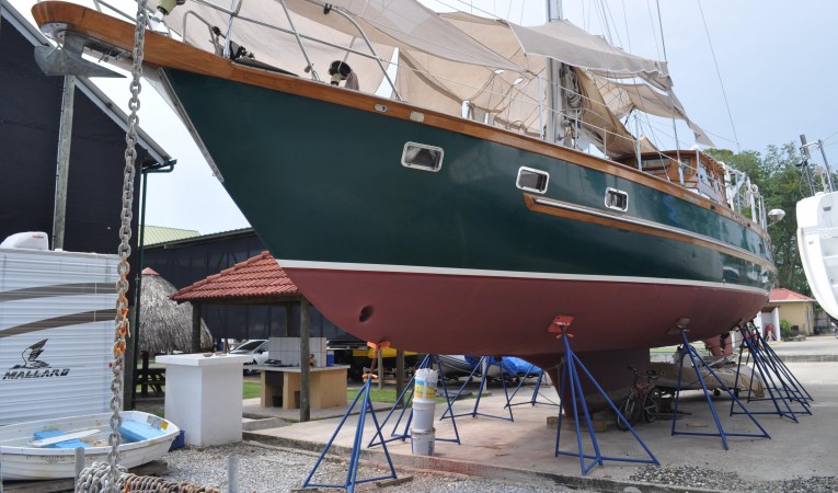 60 Maple Leaf Out of water-3