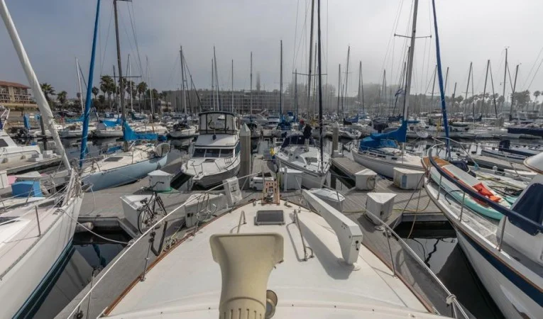 38 Ocean 