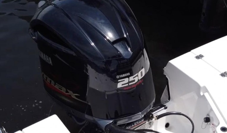 25 Robalo 