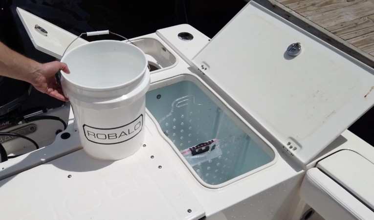 25 Robalo 