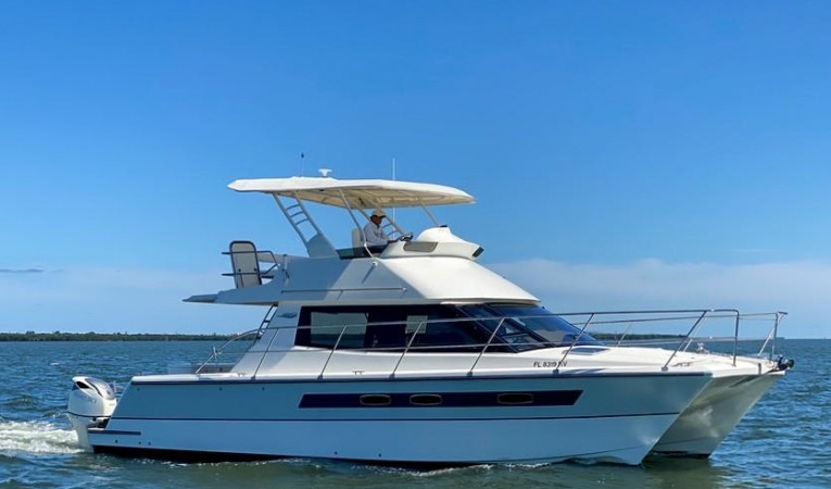 42 ArrowCat 