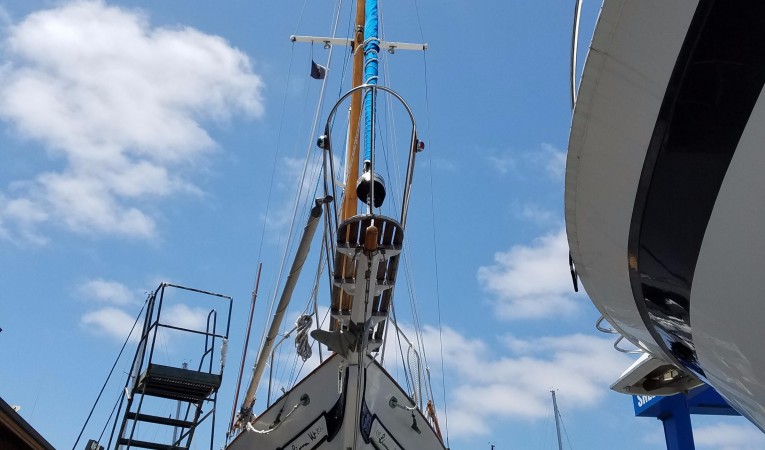 41 Formosa Haul Out 07/2017