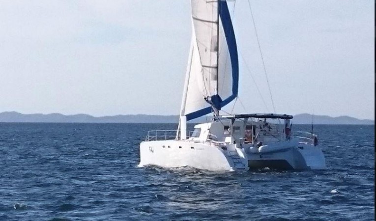42 Dolphin 