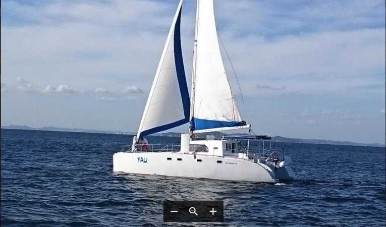 42 Dolphin 