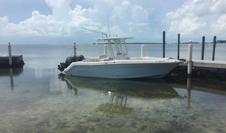 24 Robalo 