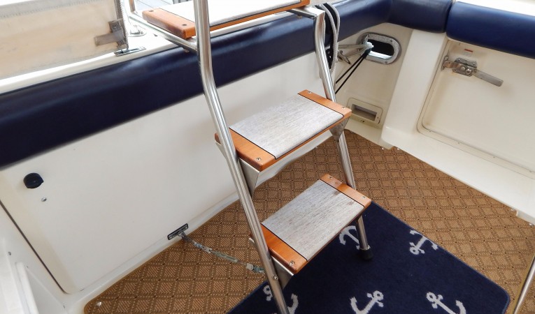 41 Tiara Boarding Ladder