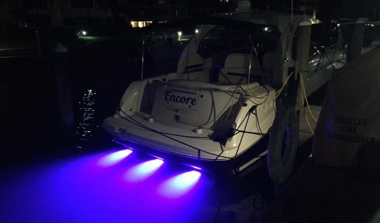 39 Sea Ray Underwater lights