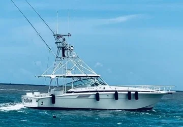46' Bertram 1994