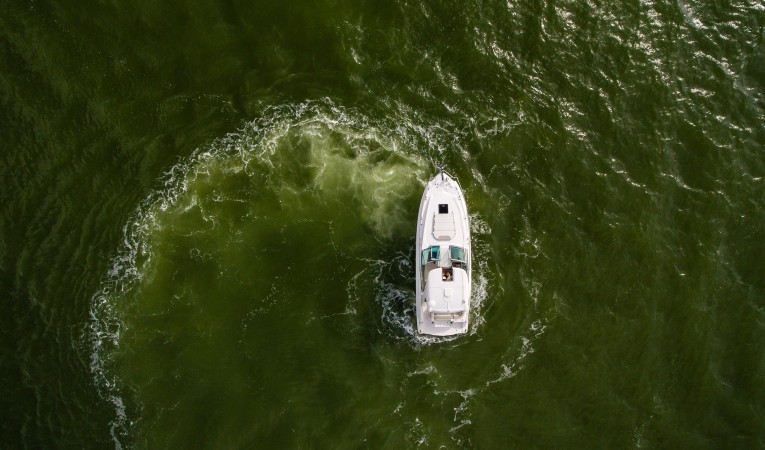 31 Chaparral Overhead