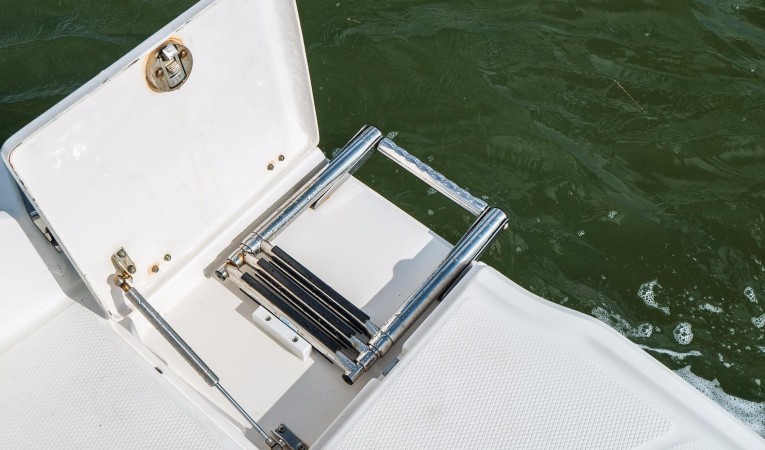 31 Chaparral Swim Ladder