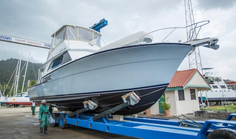 46 Bertram Starboard Bow Profile