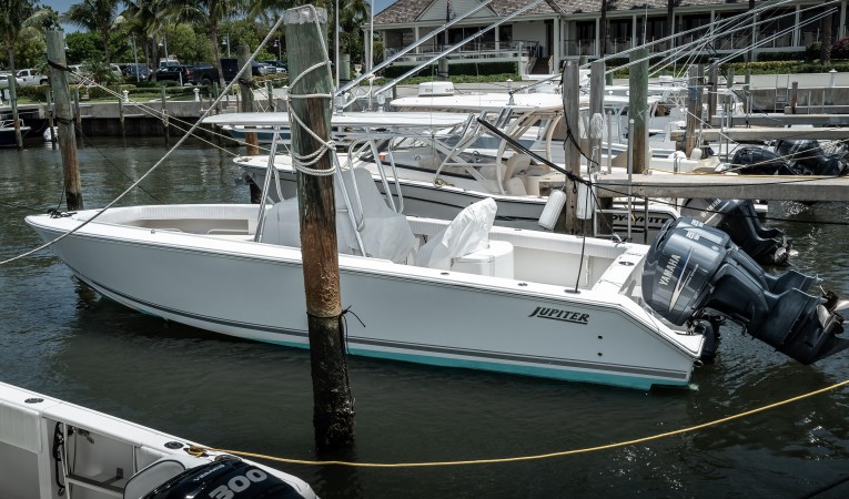 29 Jupiter Port Profile DOck