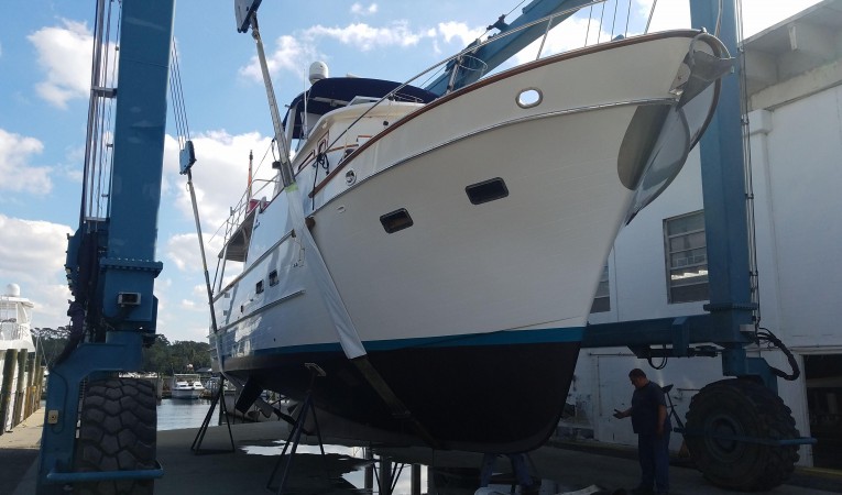 49 DeFever 