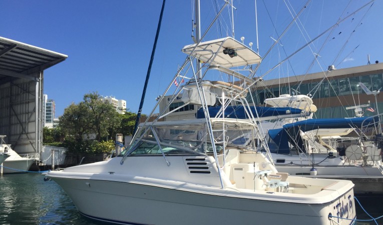 34 Sea Ray Port Side View 2