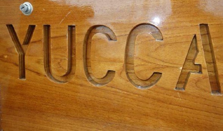 49 POTTER DESIGN YUCCA board