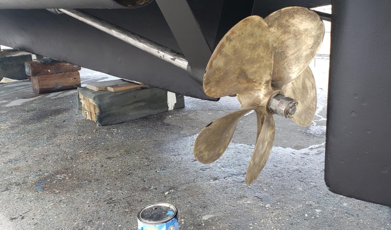 56 Hartman-Palmer 10/13/19 Haul out