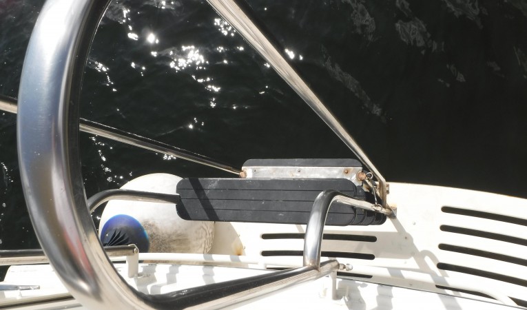 56 Hartman-Palmer Ladder to platform