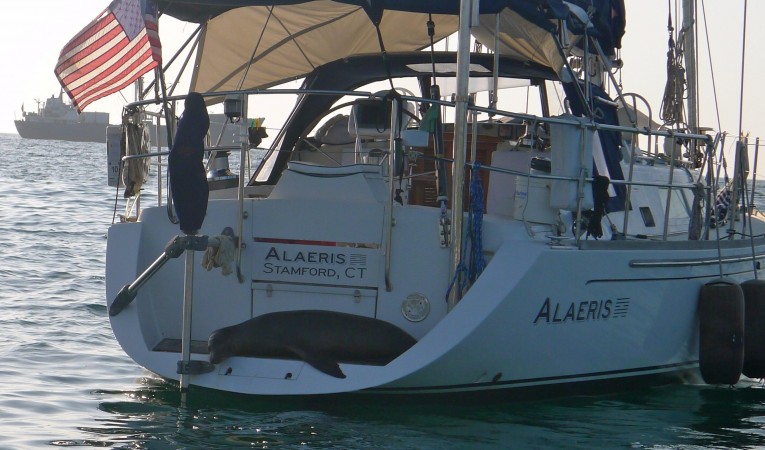 46 Outbound Comfortable swim step ......... :)