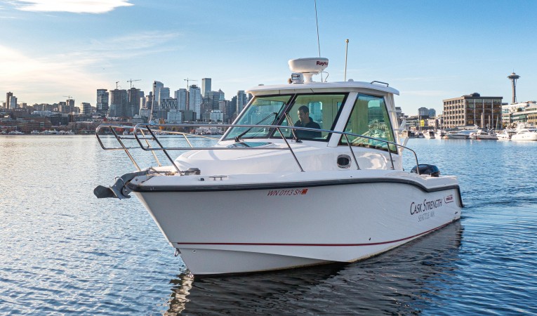 28 Boston Whaler 