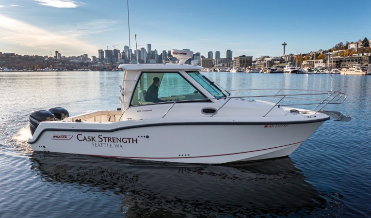 28 Boston Whaler 